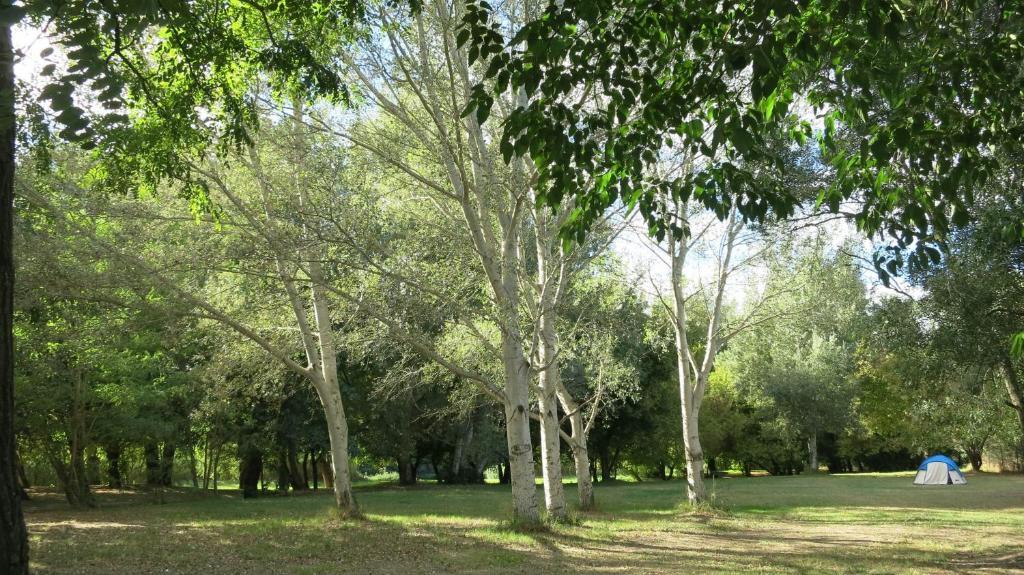 Camping Paradis Bellerive Montfrin Экстерьер фото