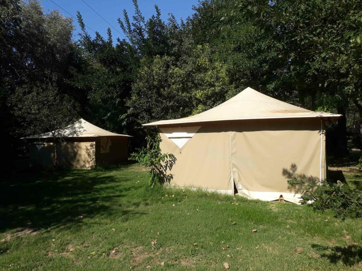 Camping Paradis Bellerive Montfrin Экстерьер фото